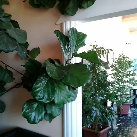 Liberta 3* Палермо